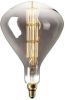 Calex XXL Sydney | LED Lamp Giant | Grote fitting E27 Dimbaar | 8W Titanium online kopen