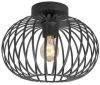 Freelight Plafondlamp Aglio Mat Zwart 25cm online kopen