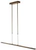 Steinhauer Led hanglamp Zelena 1482BR online kopen