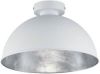 WAYS Reality Plafondlamp Jimmy 19 X 31 Cm Staal Wit/zilver online kopen